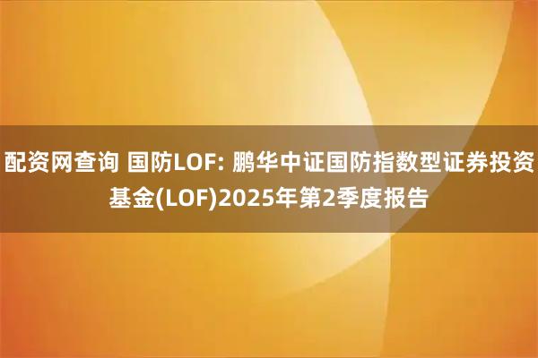 配资网查询 国防LOF: 鹏华中证国防指数型证券投资基金(LOF)2025年第2季度报告