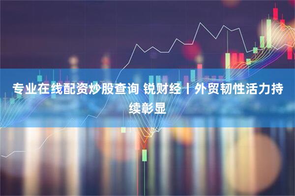 专业在线配资炒股查询 锐财经丨外贸韧性活力持续彰显