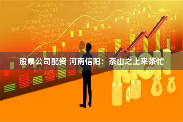 股票公司配资 河南信阳：茶山之上采茶忙